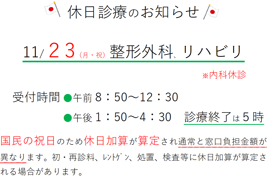 本日 休日診療です あやせ駅前整形外科 内科公式ページ 足立区 綾瀬 交通事故治療 巻き爪治療 リハビリ