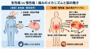慢性痛